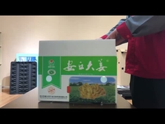 PP holle plank groente doos