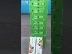 Fruit en groentendoos