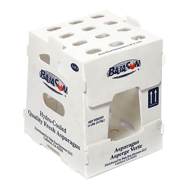 OEM-fabriek produceren PP plastic gegolfde doos voor verse zoete maïs broccoli aubergine gember doos