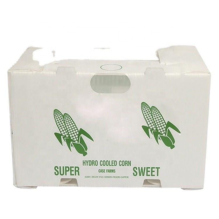 Correx Fruit Box PP gegolfde plastic doos voor groenten en landbouw verpakkingsdoos