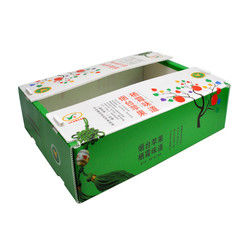 Correx Fruit Box PP gegolfde plastic doos voor groenten en landbouw verpakkingsdoos