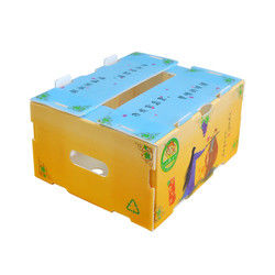 Correx Fruit Box PP gegolfde plastic doos voor groenten en landbouw verpakkingsdoos
