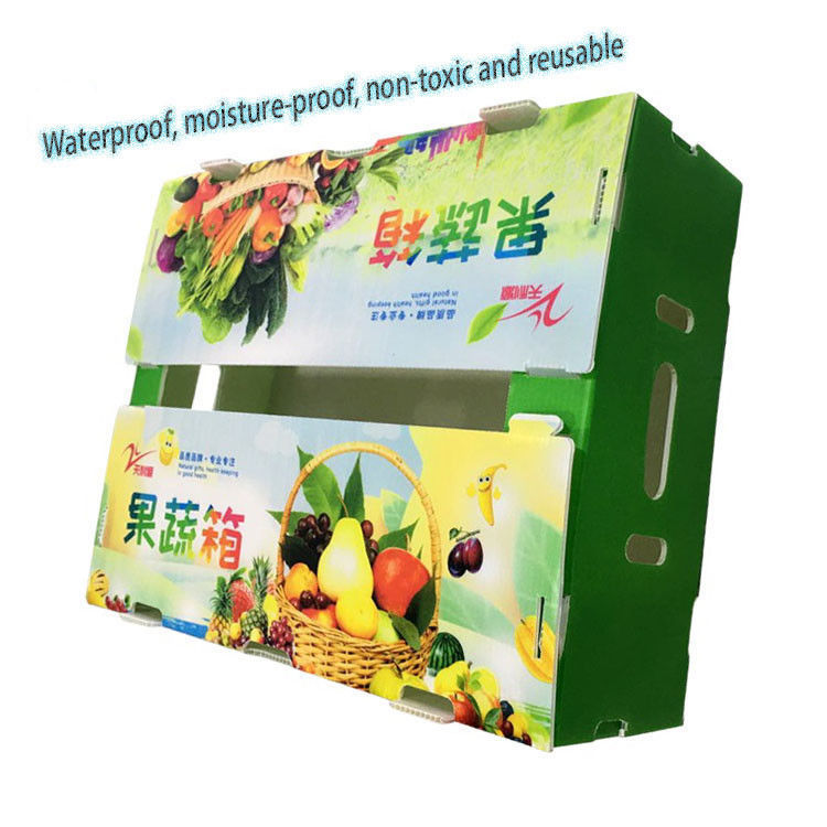Corflute Correx Maïs Broccoli En Landbouw Verpakking Waterdicht Corrosiebestendig En Vlamvertragend