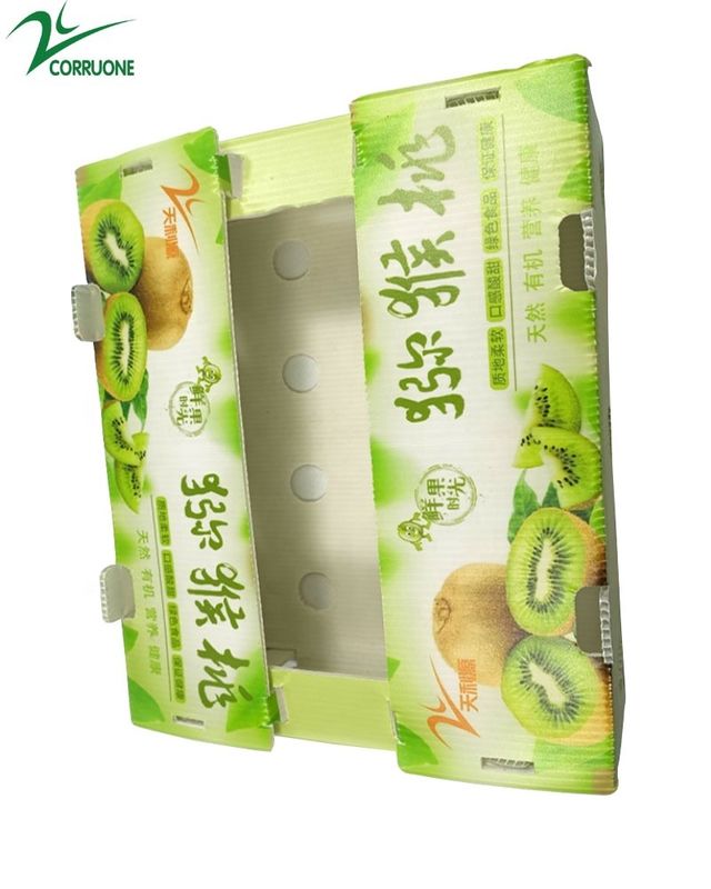 Opvouwbare fabrieksvoorziening Recycled Folding PP Corrugated Coroplast Plastic Fruit Vegetable Box