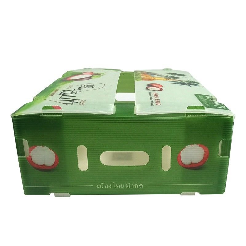 Opvouwbare fabrieksvoorziening Recycled Folding PP Corrugated Coroplast Plastic Fruit Vegetable Box