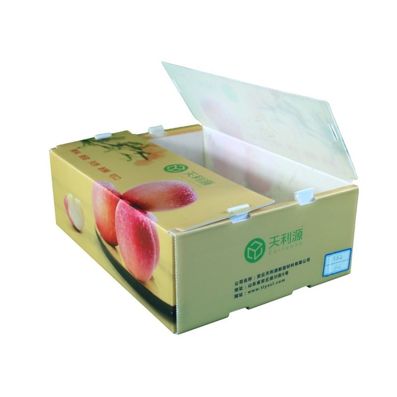 Plastic Dozen PP golfvormige plastic doos voor groenten en fruit