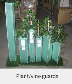 1.5mm pp Corflute de Boomstambeschermers van Green Plastic Tree van de Boomwacht