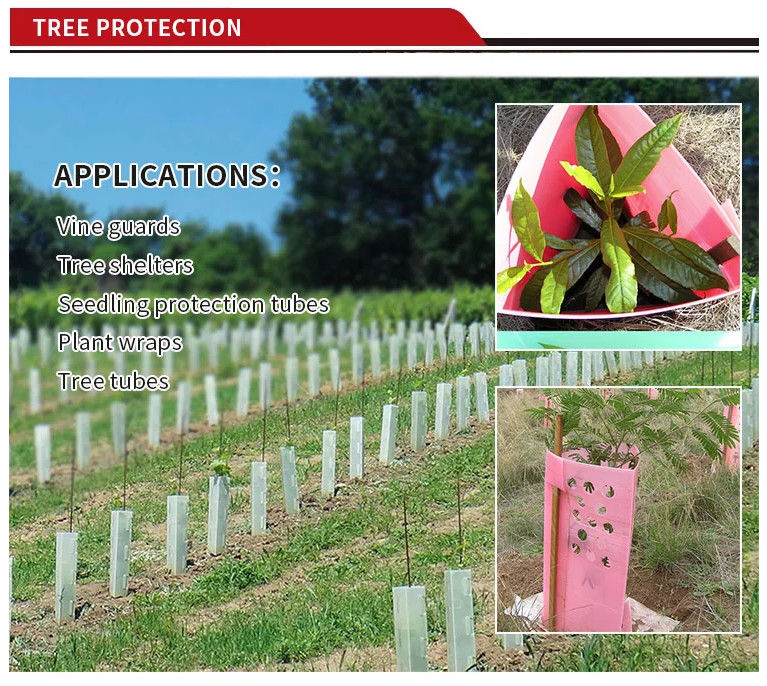 1.5mm pp Corflute de Boomstambeschermers van Green Plastic Tree van de Boomwacht