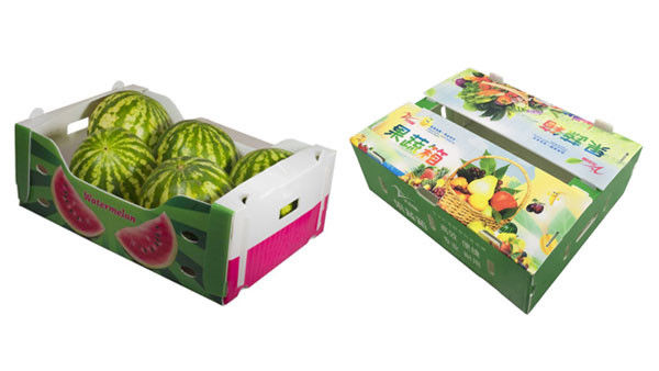 Op maat gemaakte fruit- en groentenverpakkingen golfvormige kunststofdozen golfvormige opslagdozen PP-verpakkingen