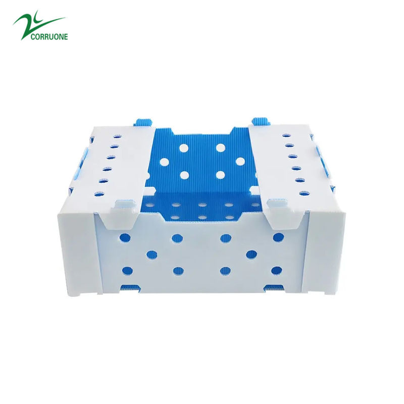 1.5mm30mm pp Golfplastiek die Dozen Witte Groenachtig blauw verpakken