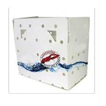 Corruone PP polypropyleen 5 KG & 10 KG Custom waterdicht Bevroren vlees of vis verpakkingsdozen golfmatig plastic visdoos