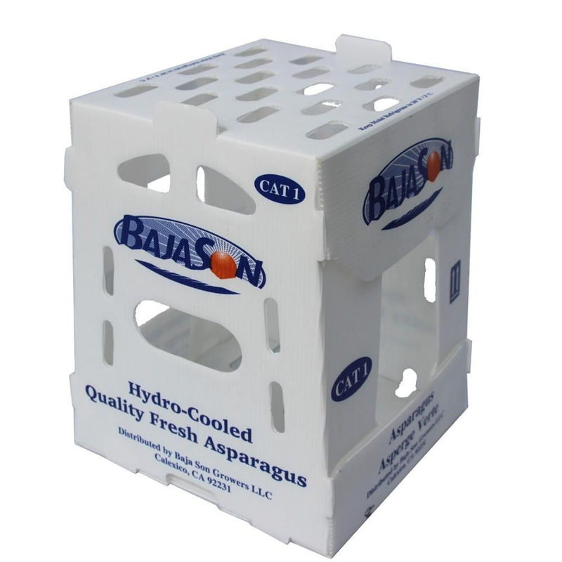 5mm 6mm Correx pp Plastic Dozen voor Vruchten en Groenten