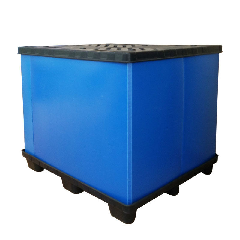 Doos van de de Dooscorrex Golf Plastic Levering van de douaneasperge de pp Golf