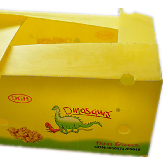 Fruit Groenten Verpakking PP kartonPlast druiven Verpakkingsdozen Plastic broccoli dozen Geaffrouwde gemberplaat