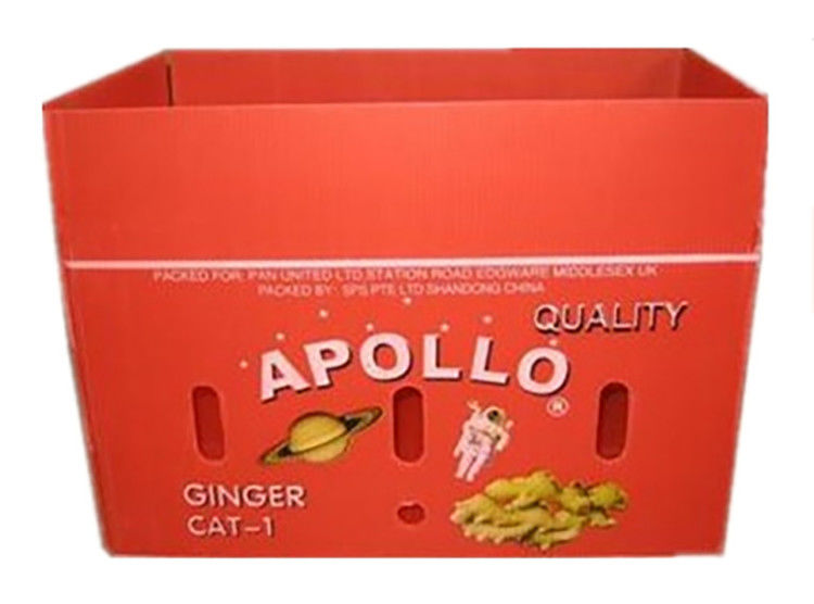 Fruit Groenten Verpakking PP kartonPlast druiven Verpakkingsdozen Plastic broccoli dozen Geaffrouwde gemberplaat