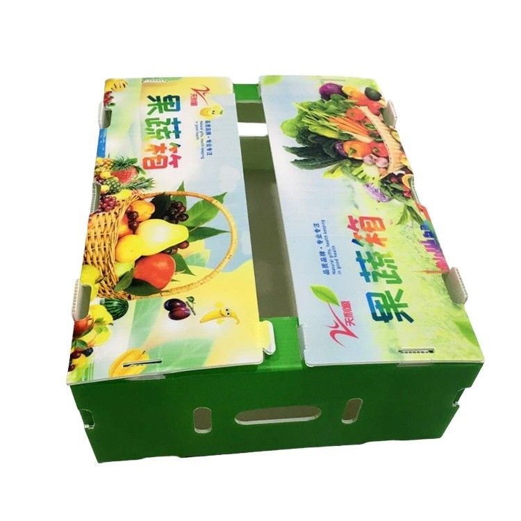 Nieuwe 2023 PP-gegolfde plastic doos voor groenten- en fruitdozen