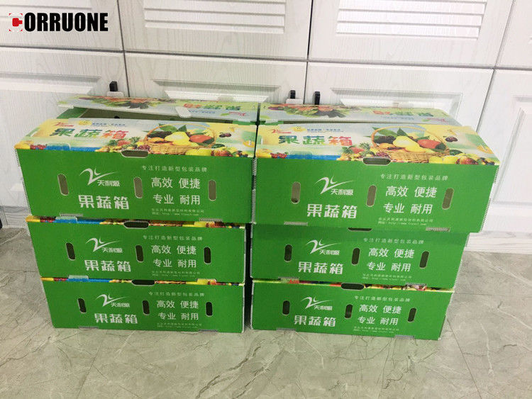 PP-gegolfde plastic doos voor groenten en fruit Doos Maïsbroccoli en landbouw Verpakkingsdoos