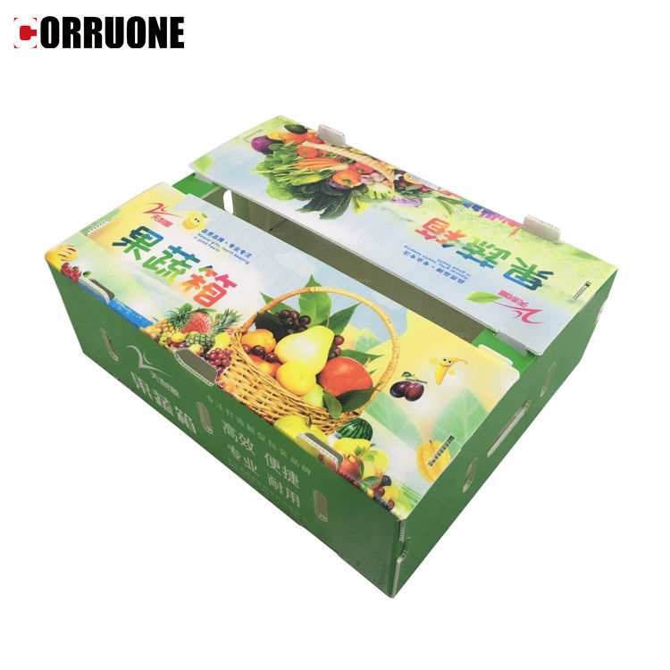 PP-gegolfde plastic doos voor groenten en fruit Doos Maïsbroccoli en landbouw Verpakkingsdoos