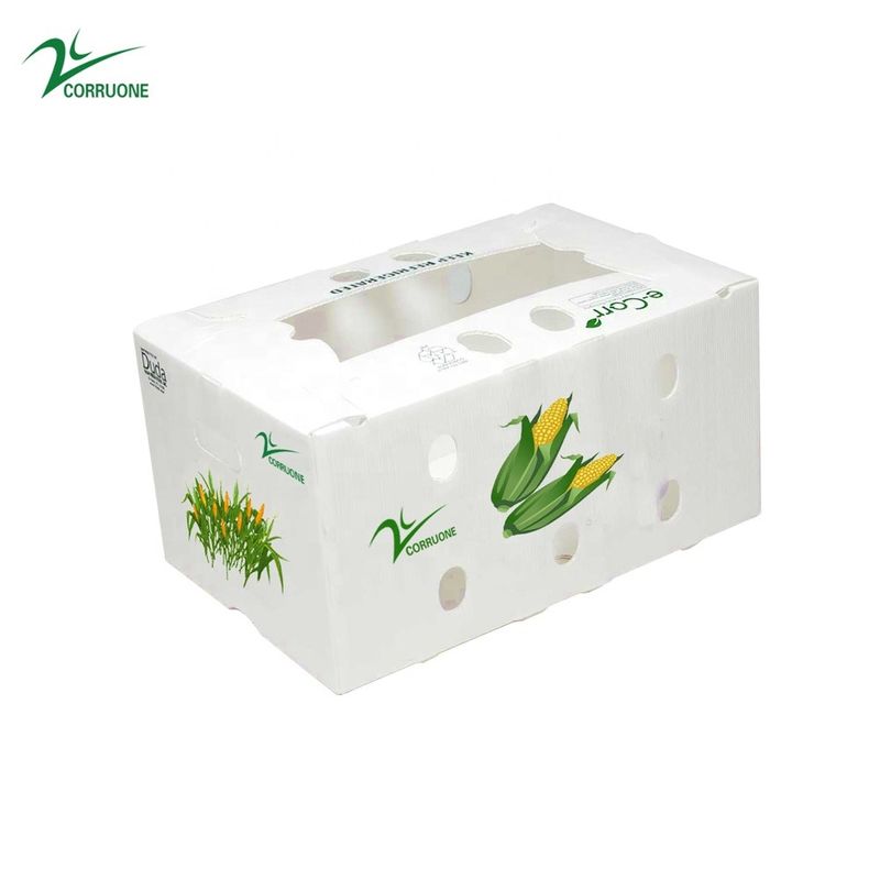 Van de Opslagdozen van broccolicorflute de Golfdoos Honingraat voor Vruchten