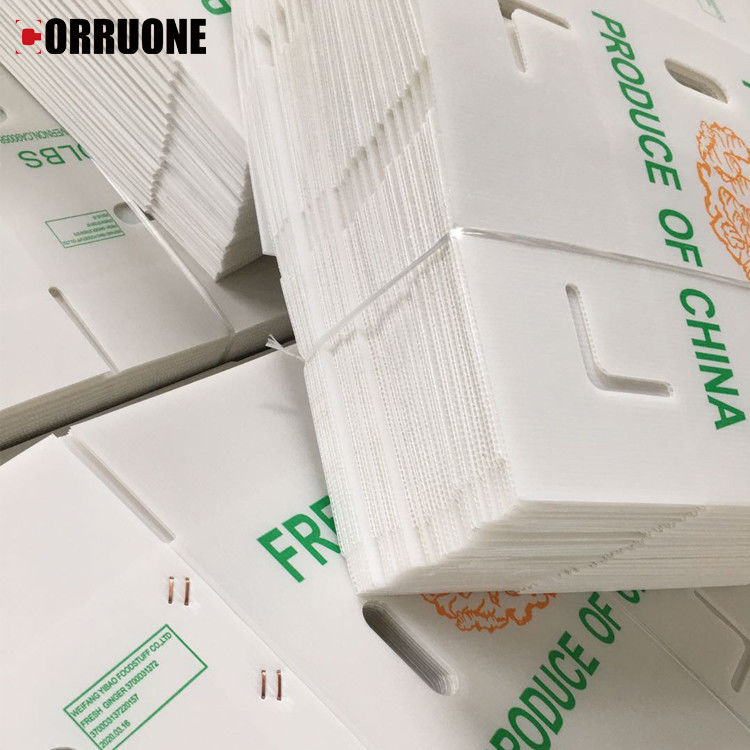 Fruit Groenten Verpakking PP kartonPlast druiven Verpakkingsdozen Plastic broccoli dozen Geaffrouwde gemberplaat