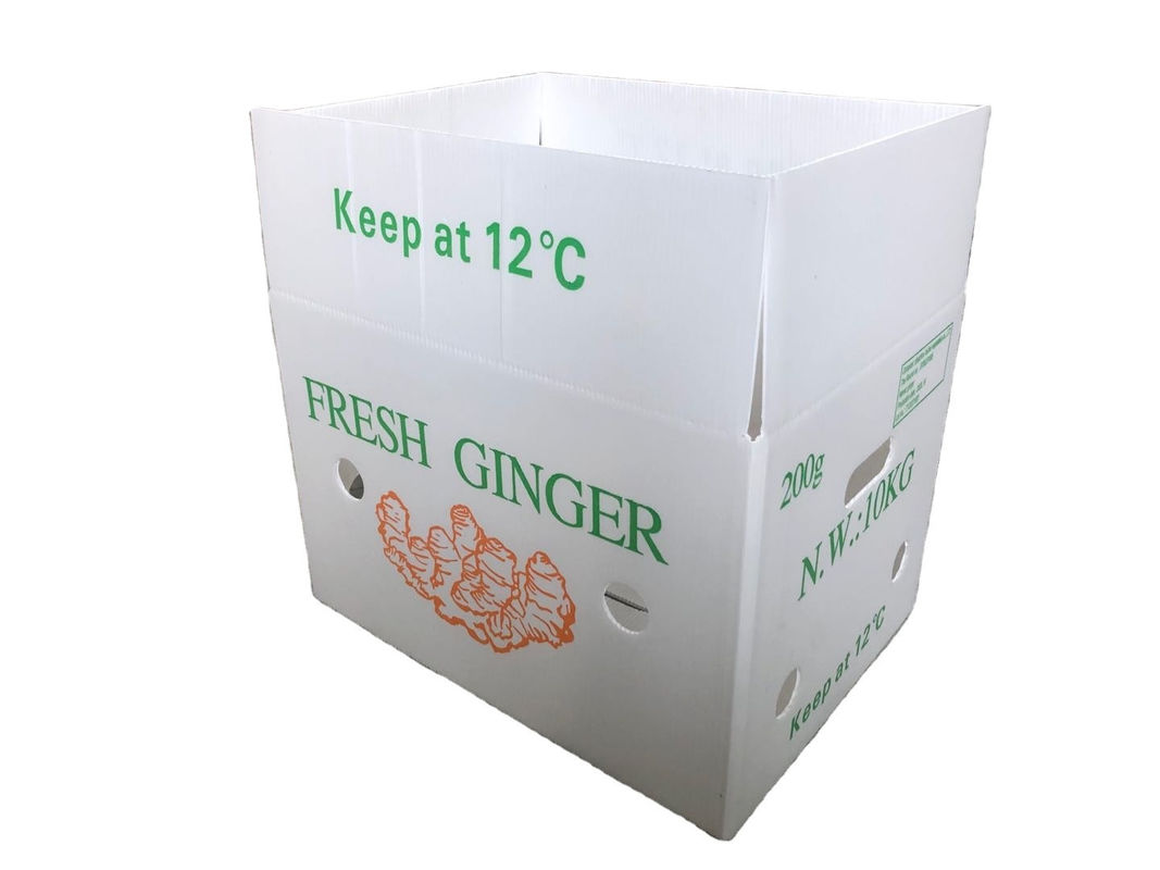 Fruit Groenten Verpakking PP kartonPlast druiven Verpakkingsdozen Plastic broccoli dozen Geaffrouwde gemberplaat