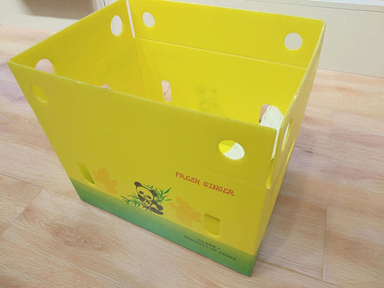 3.5mm Mango Golfdooscartonplast Golfdozen voor Fruit Verpakking