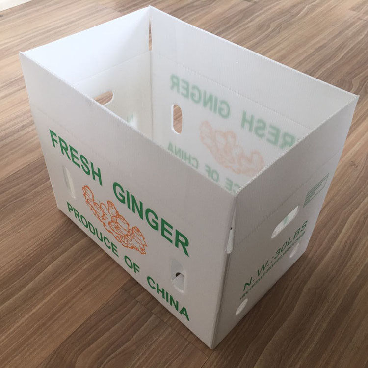 Fruit Groenten Verpakking PP kartonPlast druiven Verpakkingsdozen Plastic broccoli dozen Geaffrouwde gemberplaat