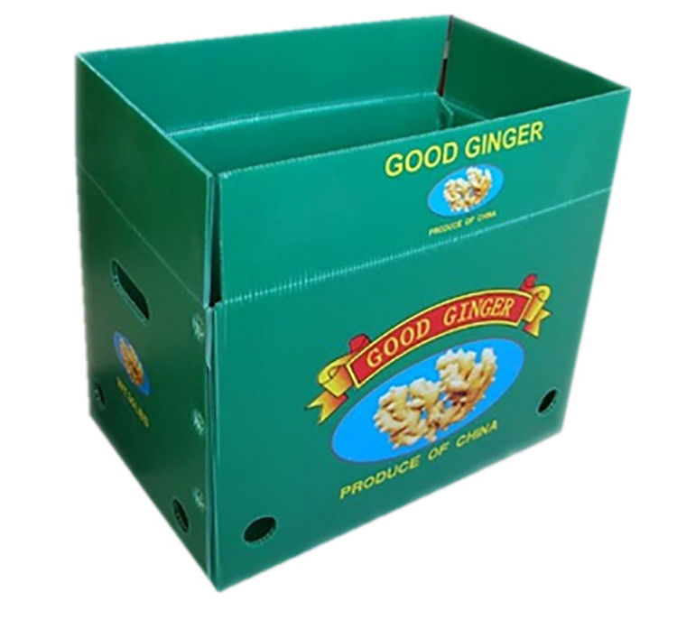 Fruit Groenten Verpakking PP kartonPlast druiven Verpakkingsdozen Plastic broccoli dozen Geaffrouwde gemberplaat