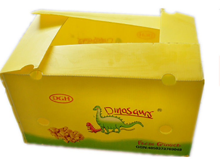 Fruit Groenten Verpakking PP kartonPlast druiven Verpakkingsdozen Plastic broccoli dozen Geaffrouwde gemberplaat