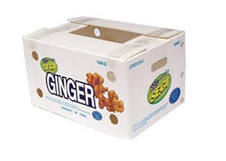 Fruit Groenten Verpakking PP kartonPlast druiven Verpakkingsdozen Plastic broccoli dozen Geaffrouwde gemberplaat