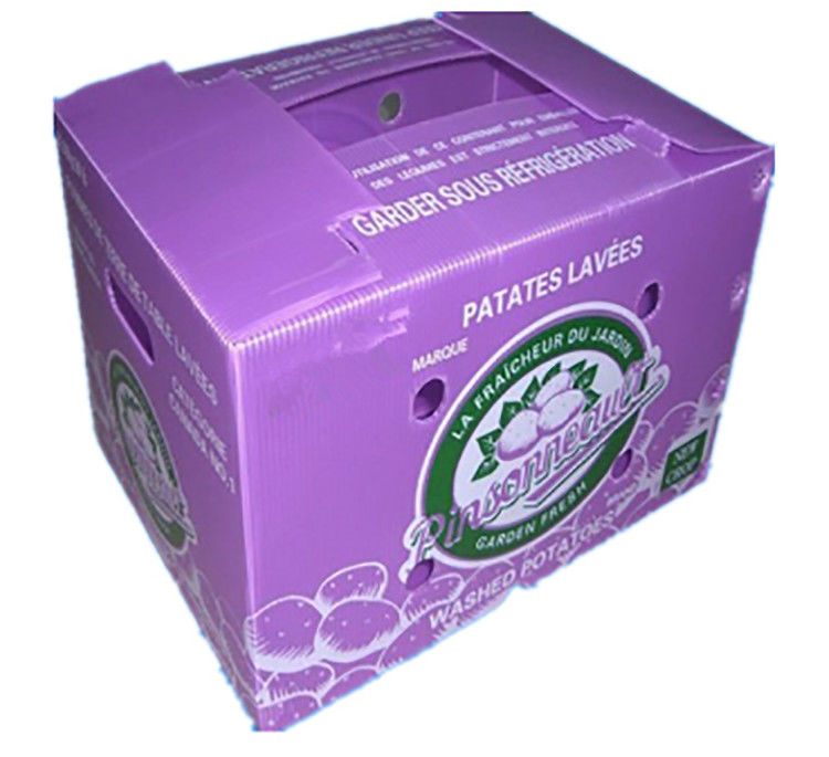 Fruit Groenten Verpakking PP kartonPlast druiven Verpakkingsdozen Plastic broccoli dozen Geaffrouwde gemberplaat