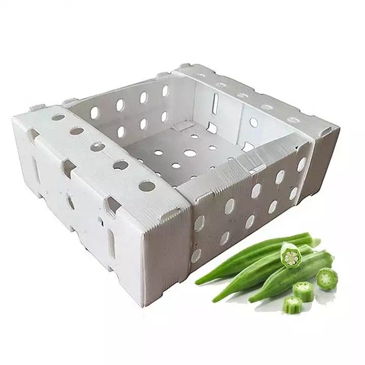 Corruone China Vervaardiger PP polypropyleen Materiaal Correx Coreflute Dozen golfmatig Plastic vouwbaar groenten en fruit Dozen
