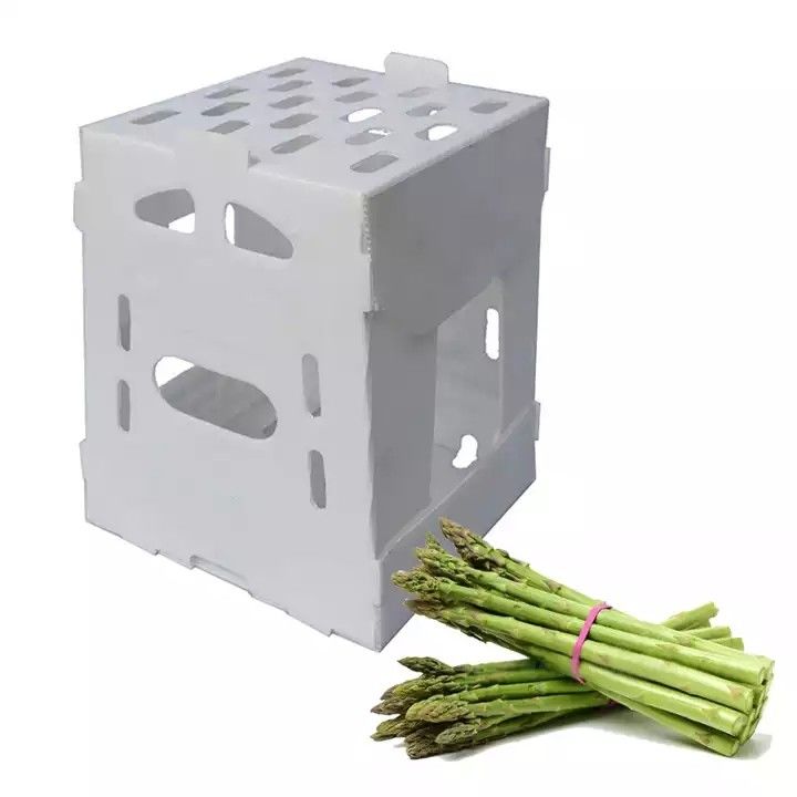 Corruone China Vervaardiger PP polypropyleen Materiaal Correx Coreflute Dozen golfmatig Plastic vouwbaar groenten en fruit Dozen