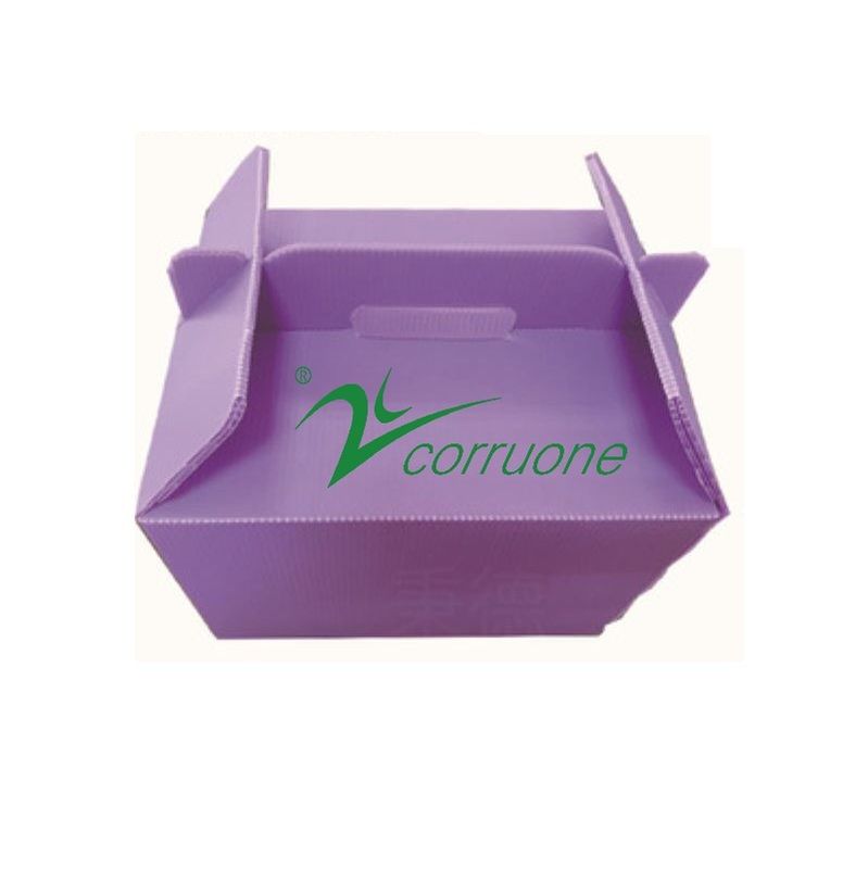 Corruone PP polypropyleen correx vouwdoos Vers groente en fruit pp golfplaatdoos