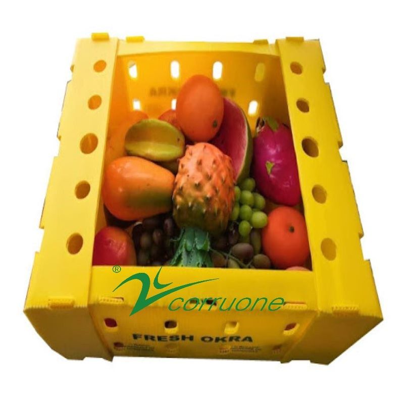 Corruone waterdicht Fruit Groenten Verpakking PP KartonPlast Druiven Verpakkingsdozen Plastic Broccoli Dozen Gegooid Gemberdoos
