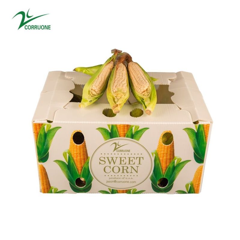 Van de Banaancorrex van Suikermaïs de Fruit Golfdozen Verpakkende Dozen