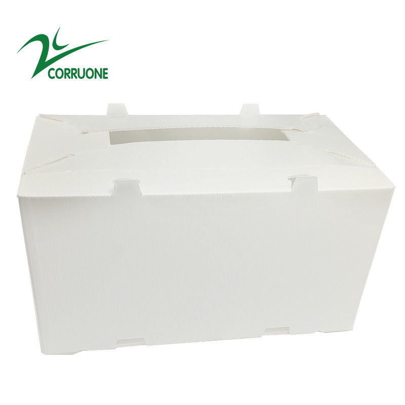 2mm11mm de Holle Opvouwbare Golf Plastic Dozen van Kartoncoroplast Correx