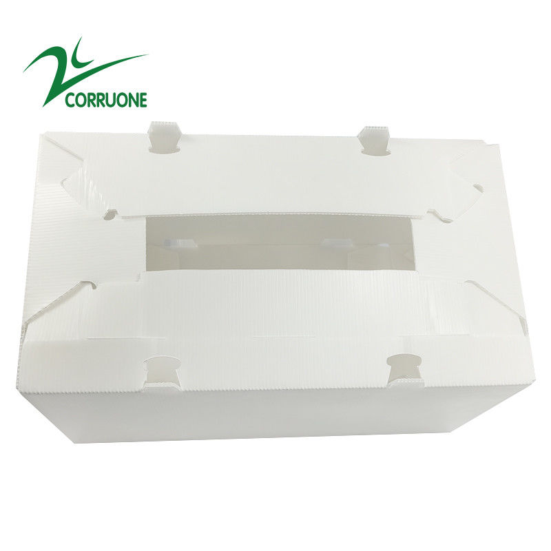 2mm11mm de Holle Opvouwbare Golf Plastic Dozen van Kartoncoroplast Correx
