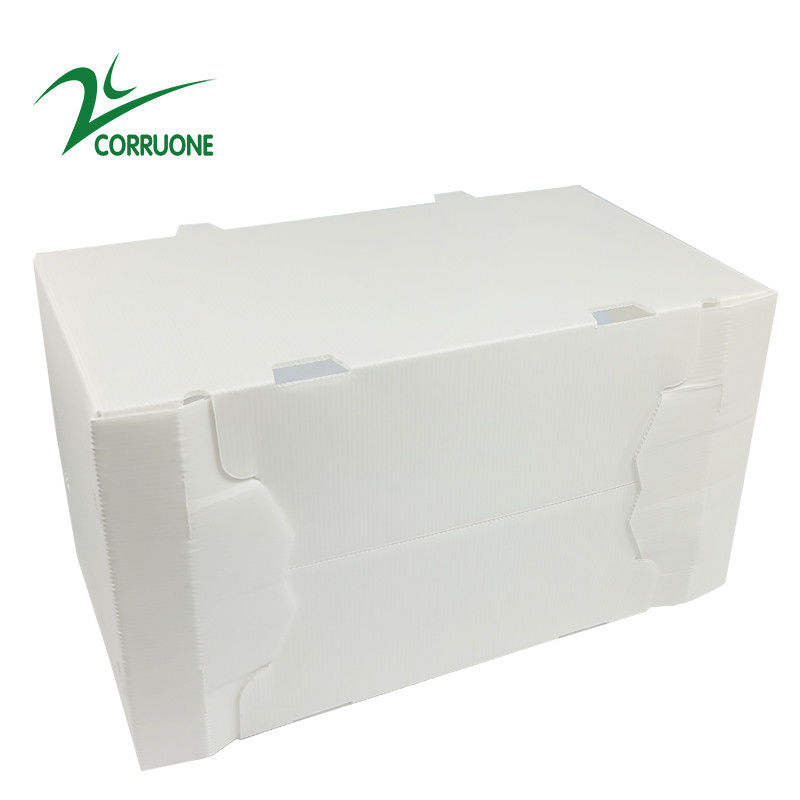 2mm11mm de Holle Opvouwbare Golf Plastic Dozen van Kartoncoroplast Correx