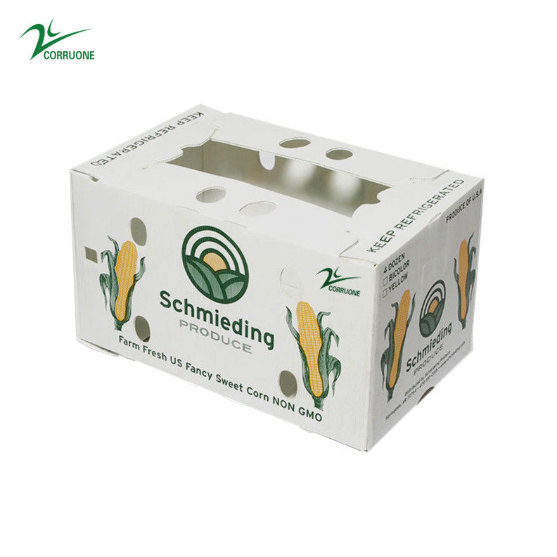 Corruone PP Correx Fruit en zeevruchten groenten Kartonplast golfmatig plastic polypropyleen dozen