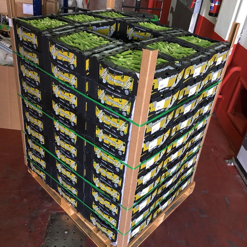 Groothandel Op maat gedrukte opvouwbare transparante plastic golfvormige vierkante verpakking Display fruitdozen met deksels