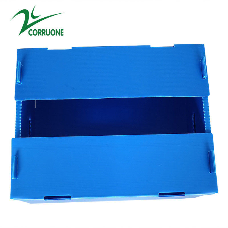 Het tweelingblauw van de Opslagdozen van Coroplast van Muurfruit Golfdozen