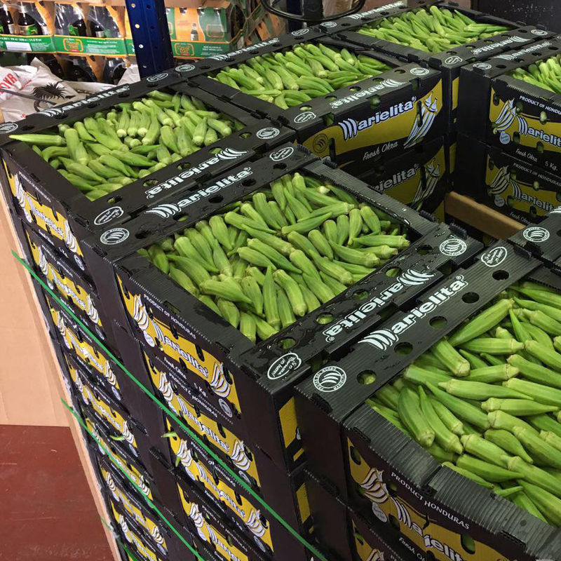 Plooiden de Golfdozen pp van de Corfluteokra Fruit Plastic Geval