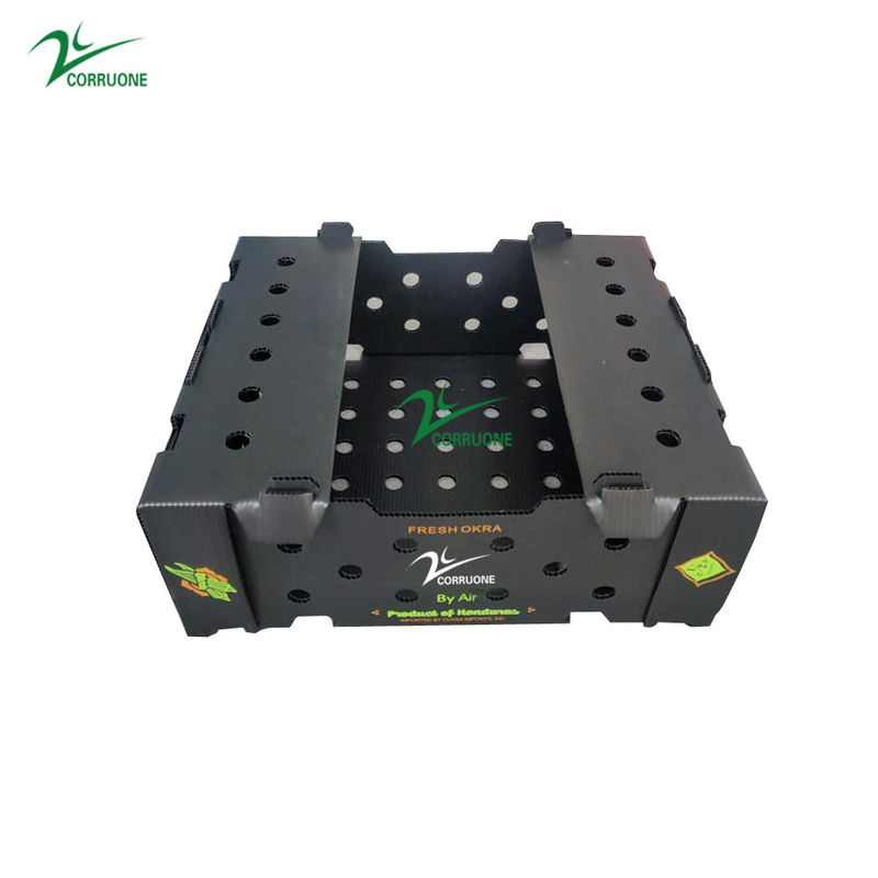 Zwarte Golfdozen Golf Plastic de Opslagcontainers van Corriflute Fruit