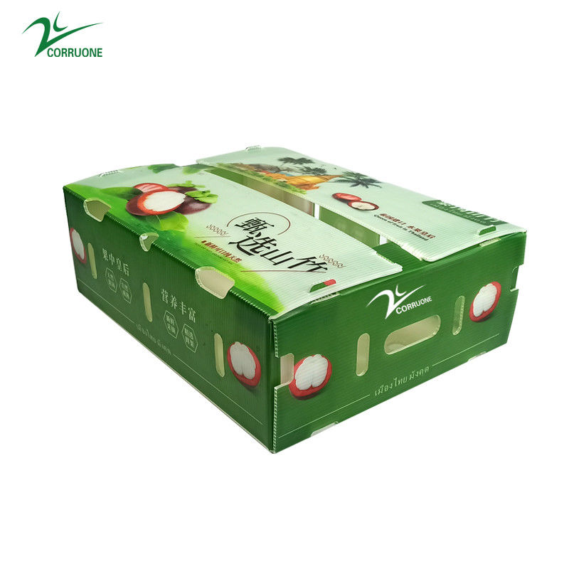 PP-golfmatige plastic doos voor groenten en fruit Doos Corflute correx Maïsbroccoli en landbouw Verpakkingsdozen