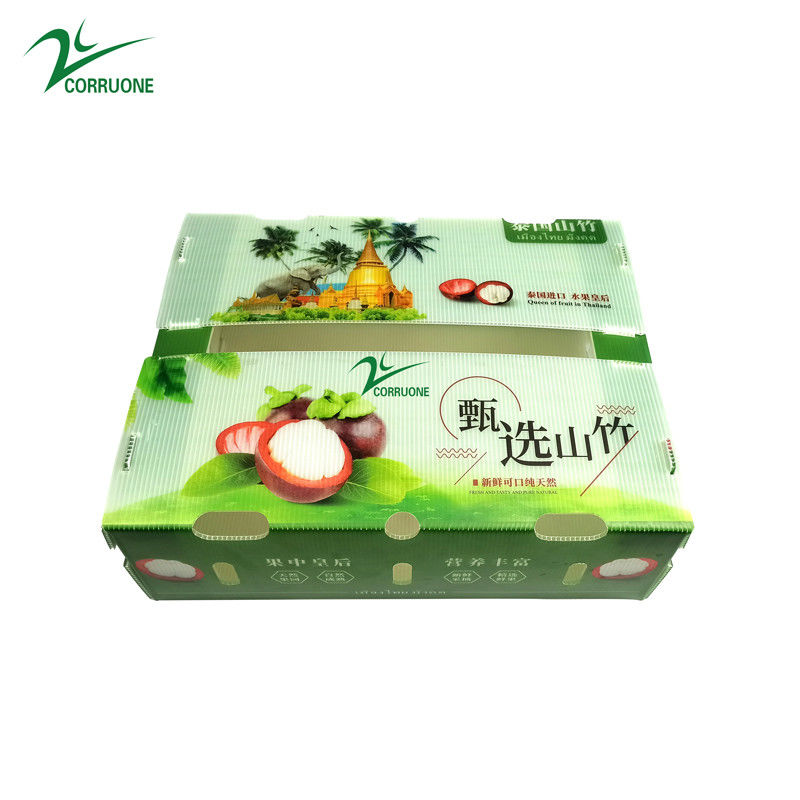 PP-golfmatige plastic doos voor groenten en fruit Doos Corflute correx Maïsbroccoli en landbouw Verpakkingsdozen