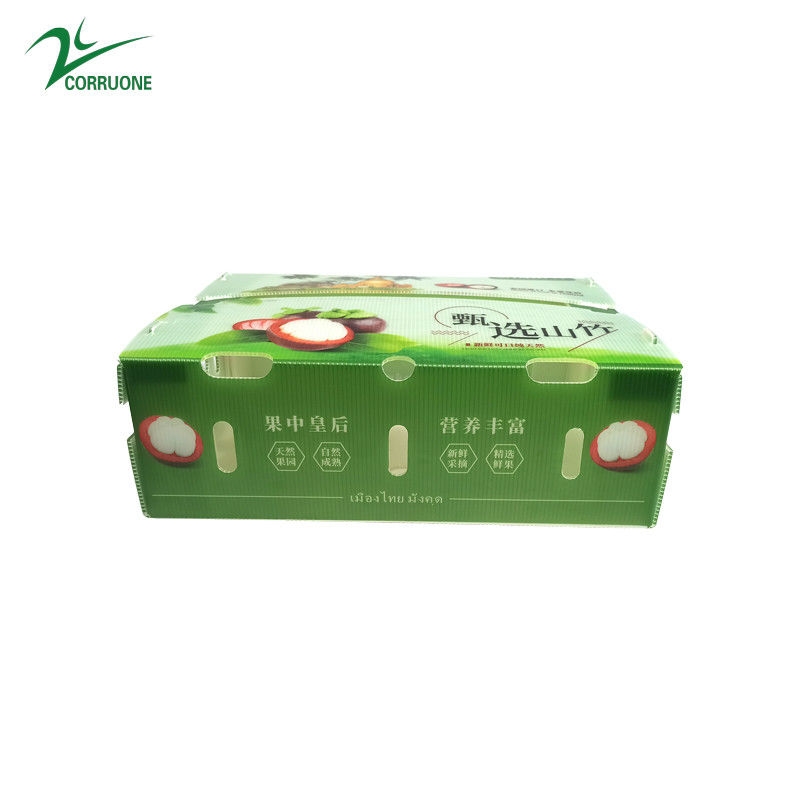 PP-golfmatige plastic doos voor groenten en fruit Doos Corflute correx Maïsbroccoli en landbouw Verpakkingsdozen