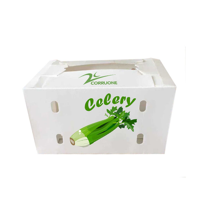 Zwarte Golfdozen Golf Plastic de Opslagcontainers van Corriflute Fruit