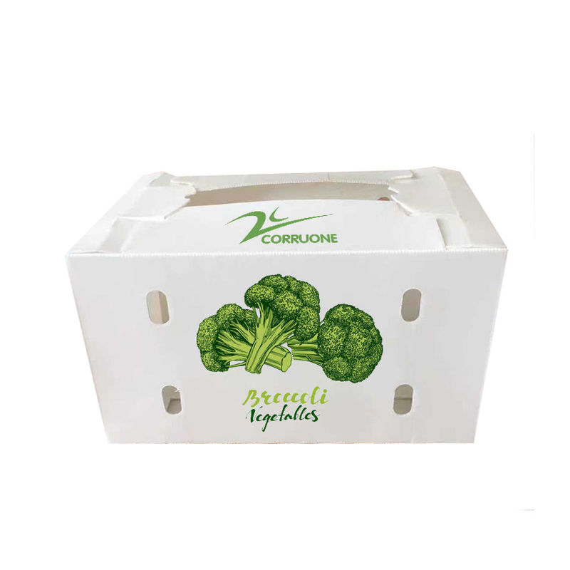 Zwarte Golfdozen Golf Plastic de Opslagcontainers van Corriflute Fruit