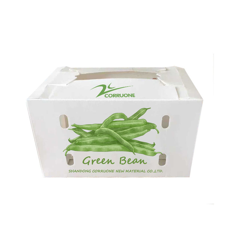Zwarte Golfdozen Golf Plastic de Opslagcontainers van Corriflute Fruit